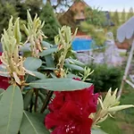 别墅 Katilux Willa 新塔尔格