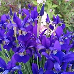Katilux Willa 别墅